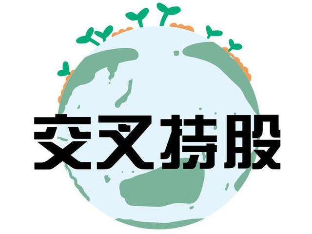 交叉持股安排设计(交叉持股怎么计算持股比例)盘锦市
